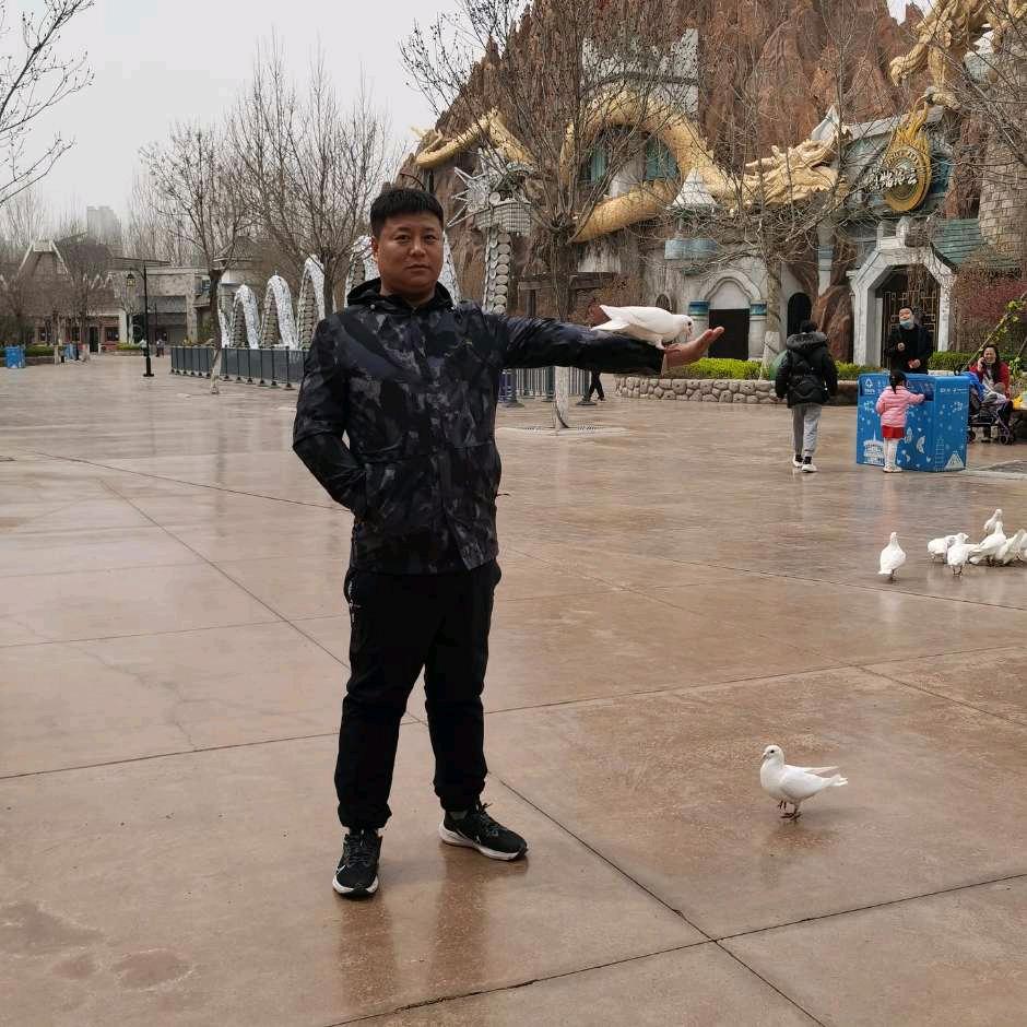 庞是庞龙的庞