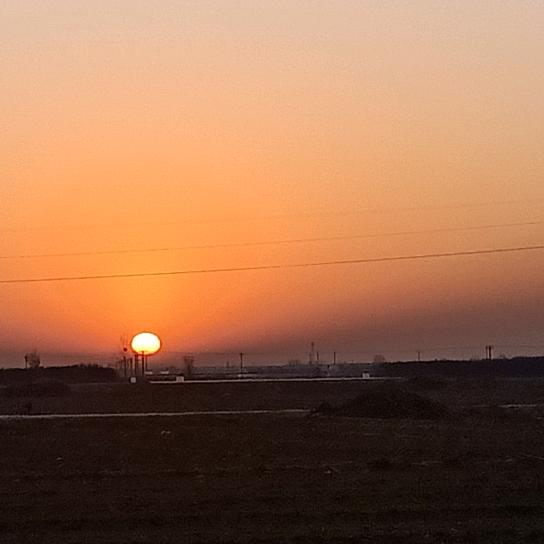 2025龙腾虎跃风生水起