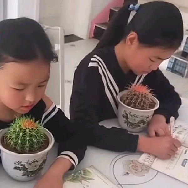永恒的光彩