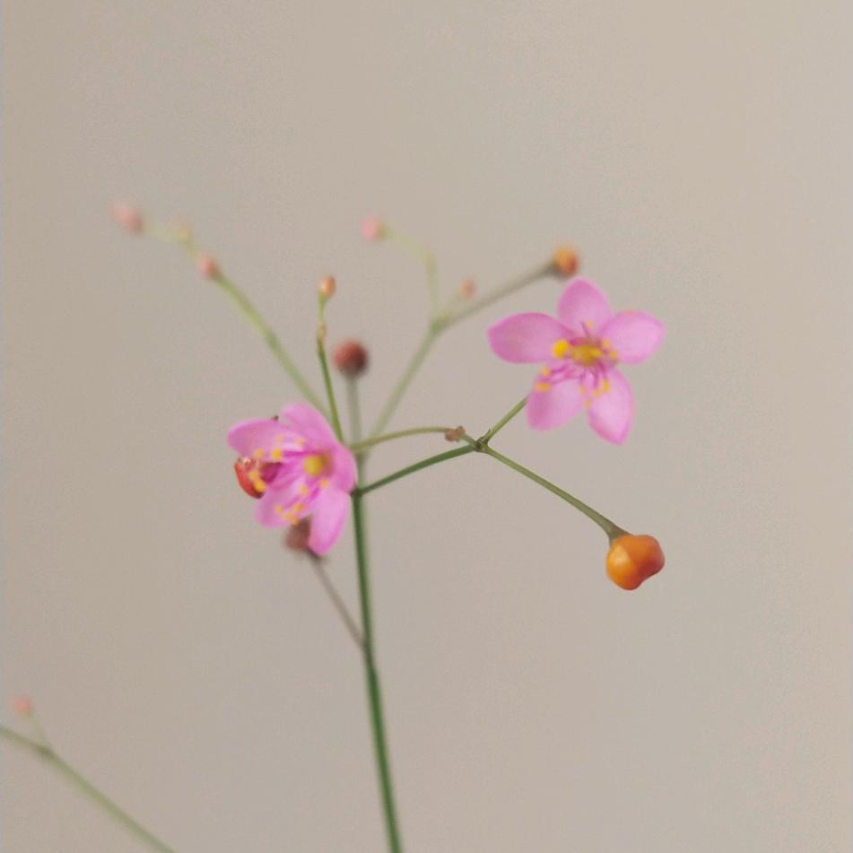 过好余生（谢绝连赞）