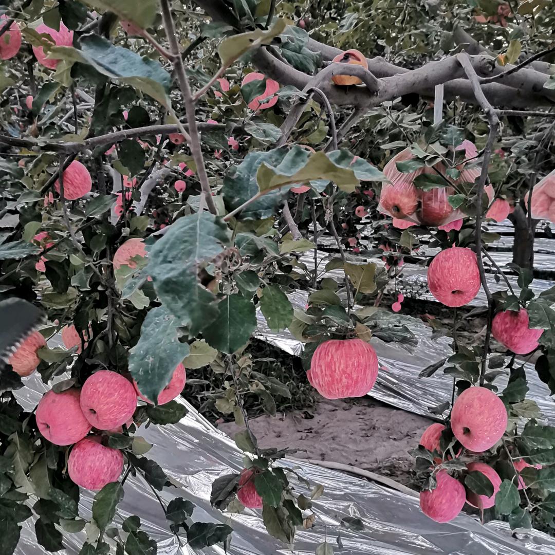 人在外面生不由己