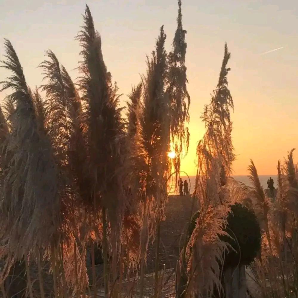 从前已逝，未来可期