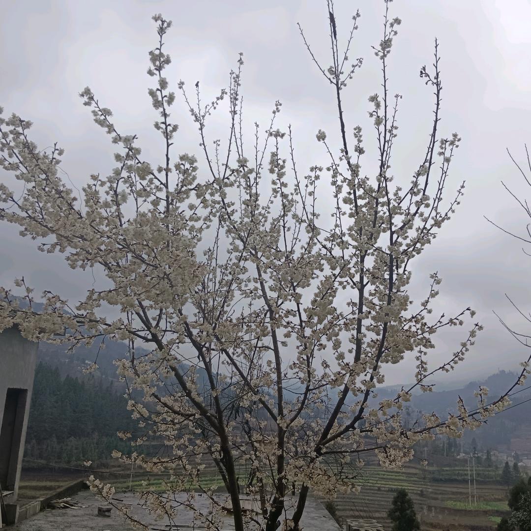 永远放你在心底