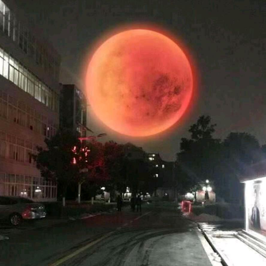 红钰米