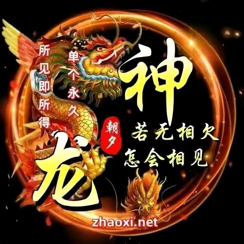 神龍🐲