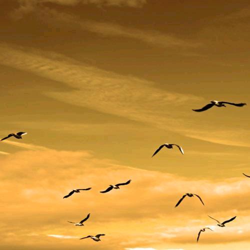 海中扬帆🌈🌈