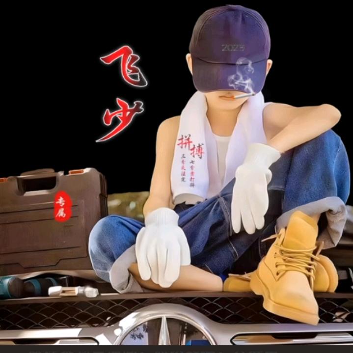 飞少