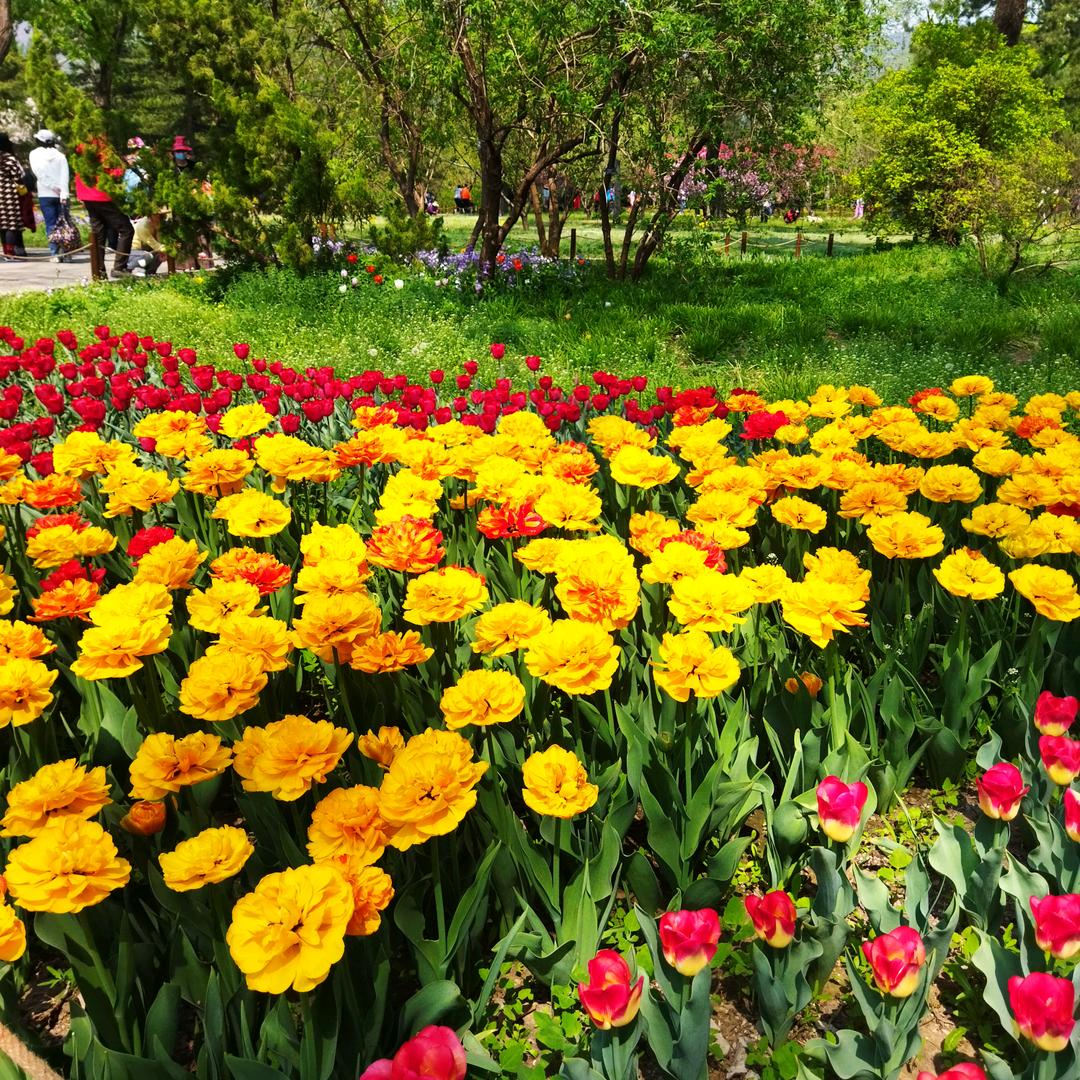 高高兴兴每一天