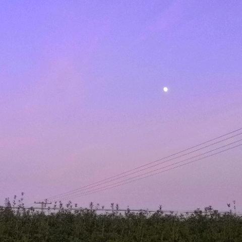 没道理