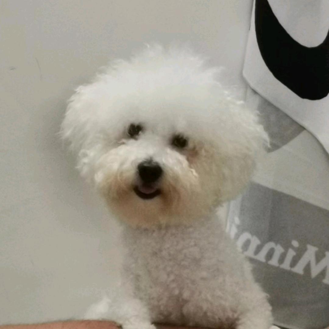 动感光波*