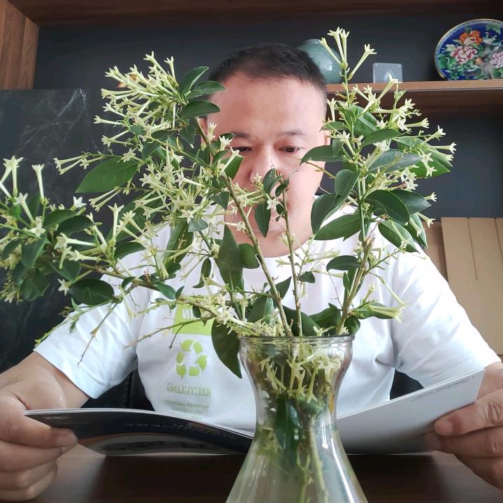 朝旭朝利纸箱设备