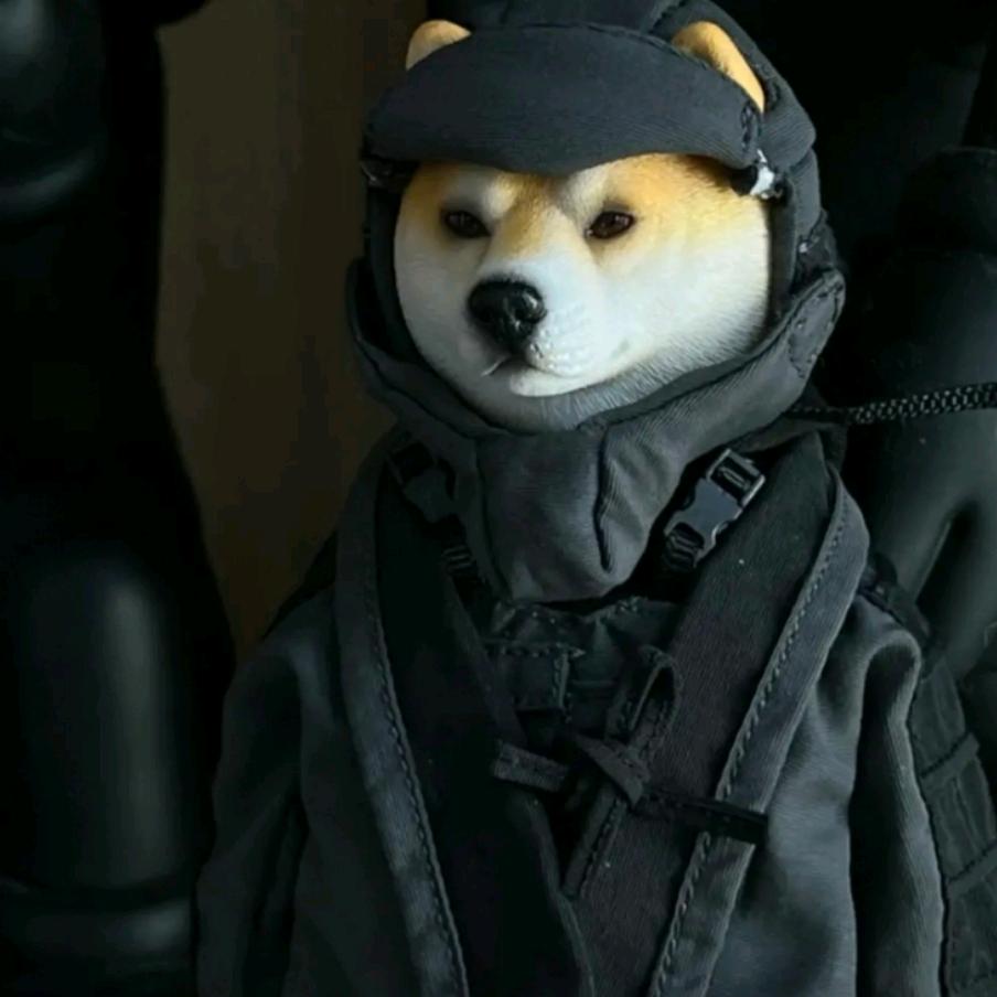 小锕飛