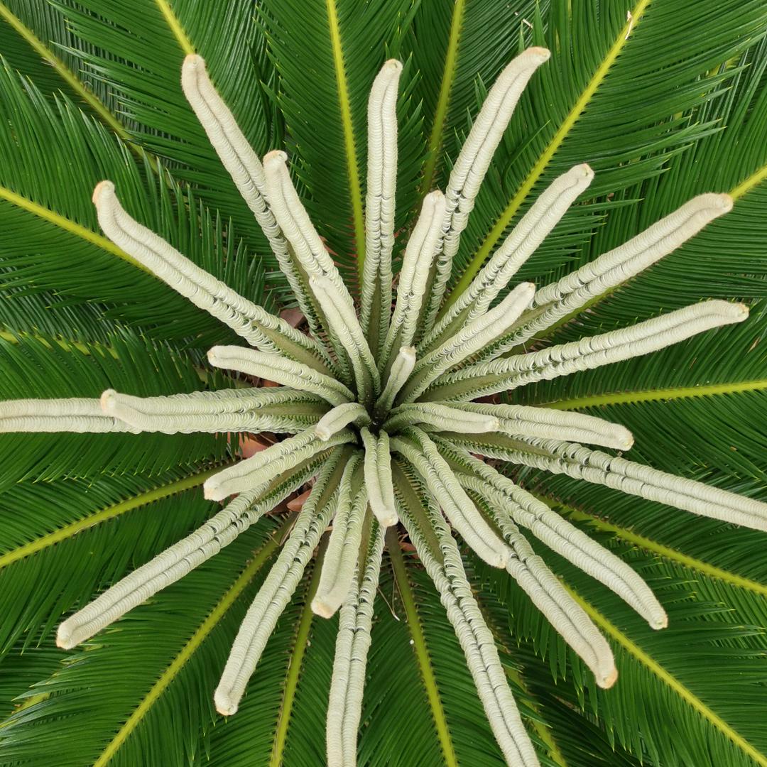 做时间的好友！