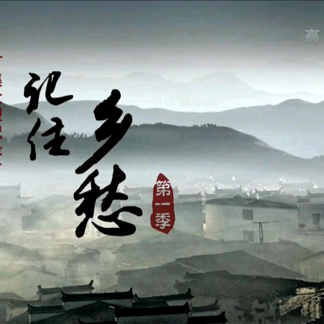 聪哥拾光