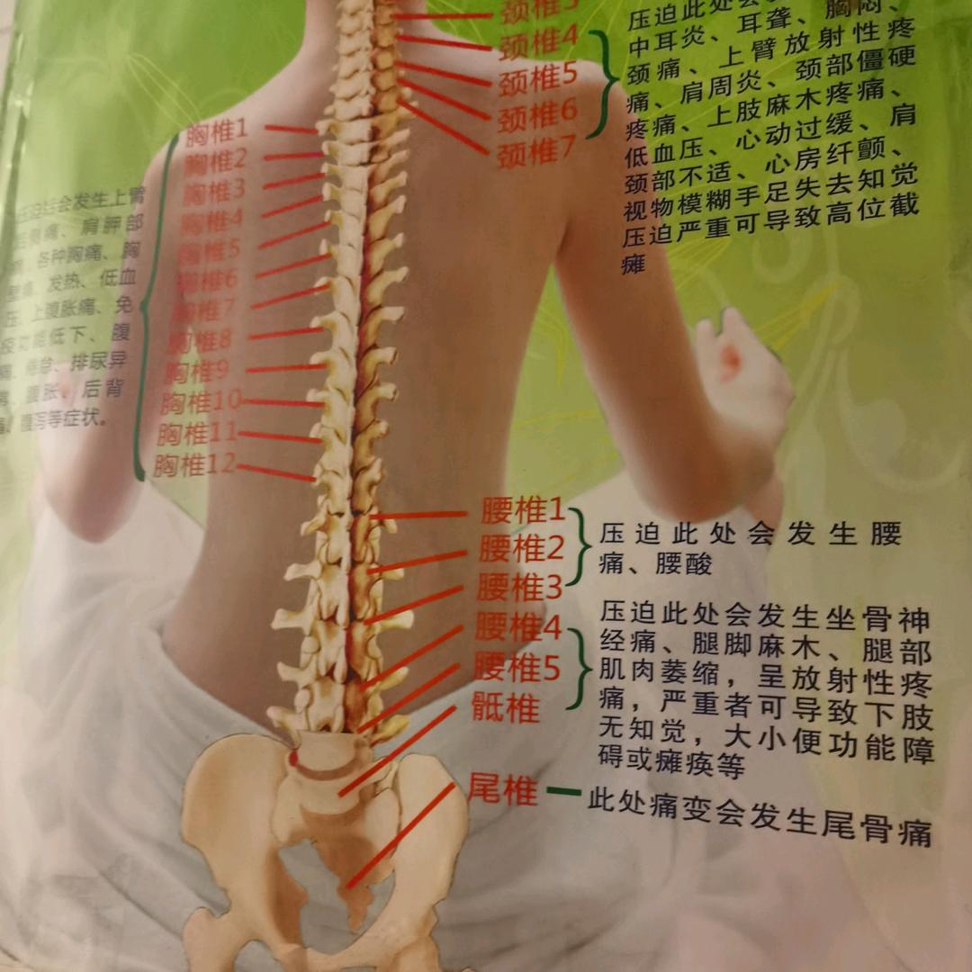 谈骨论筋，