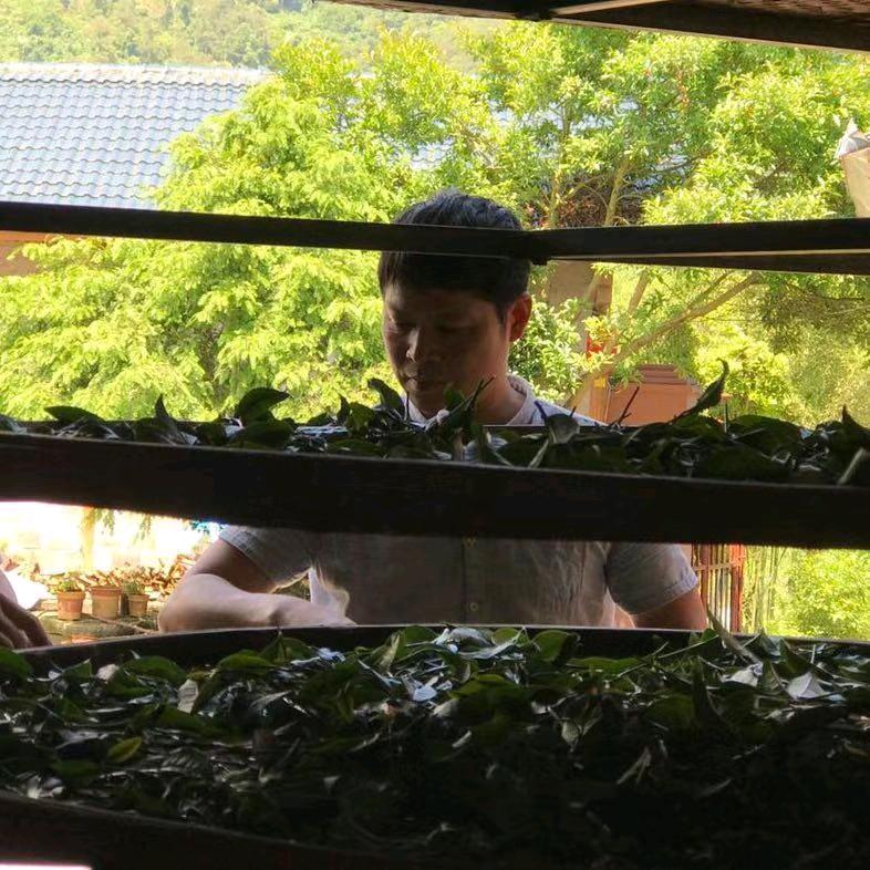 老狼的岩茶密码