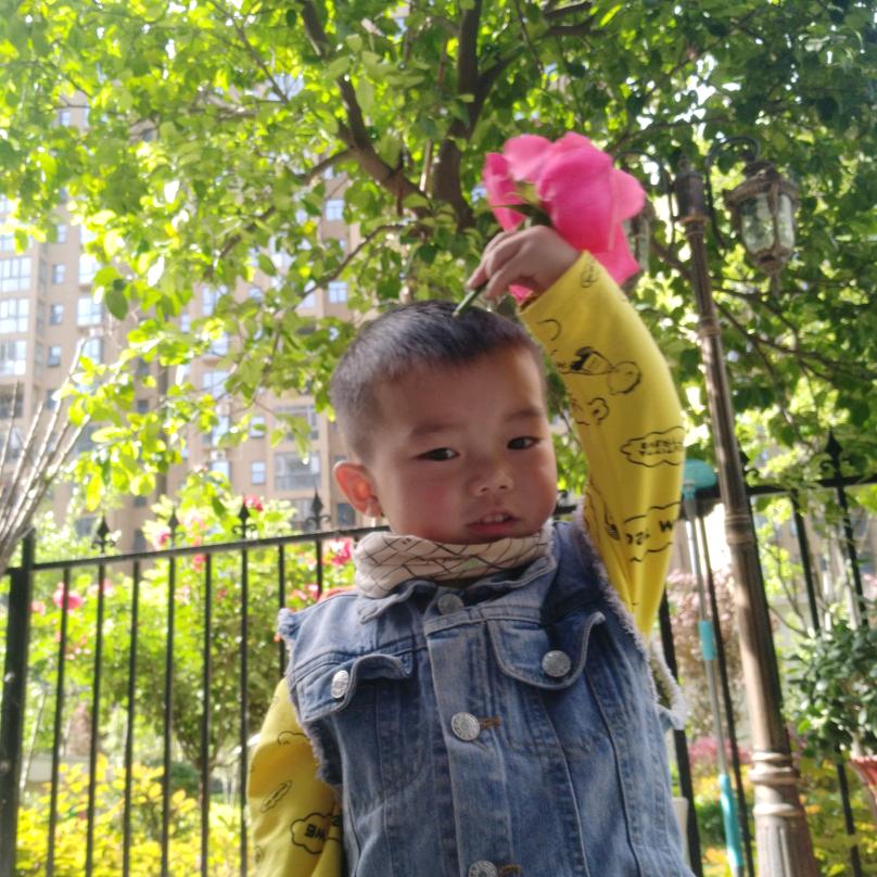 宸宸