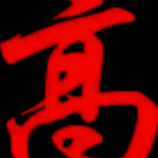 亮丽梅花