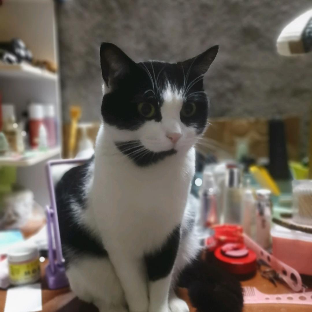 _诚信