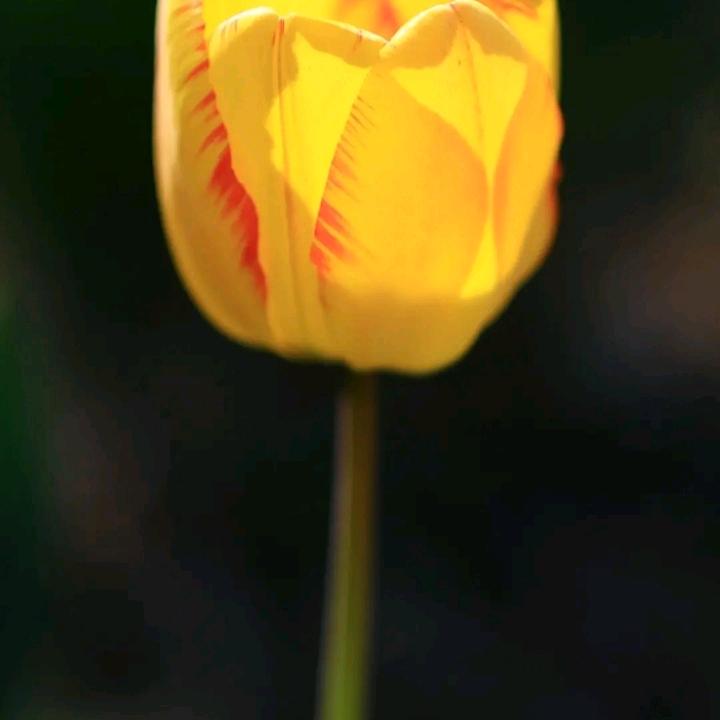 长长久久