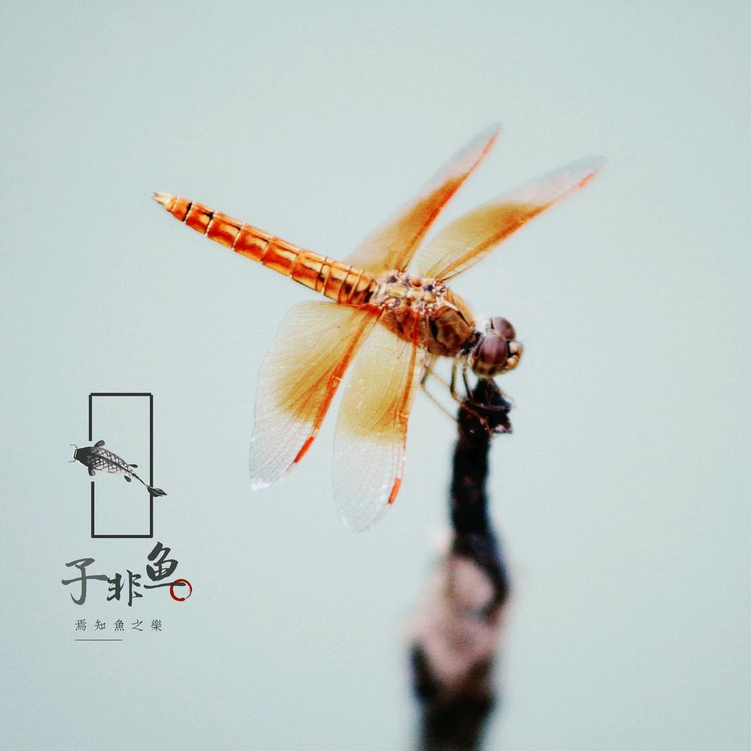 近水