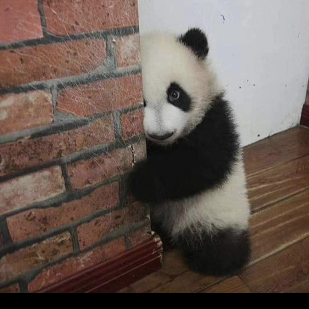 窗外