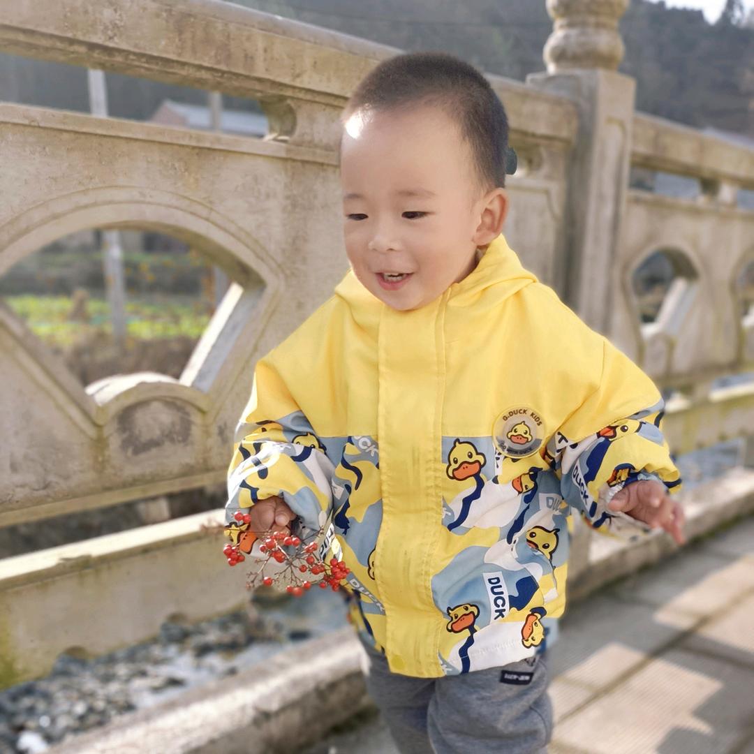 小布丁DLJ