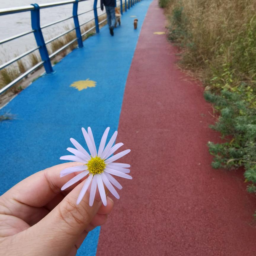 柴米油盐诗酒茶
