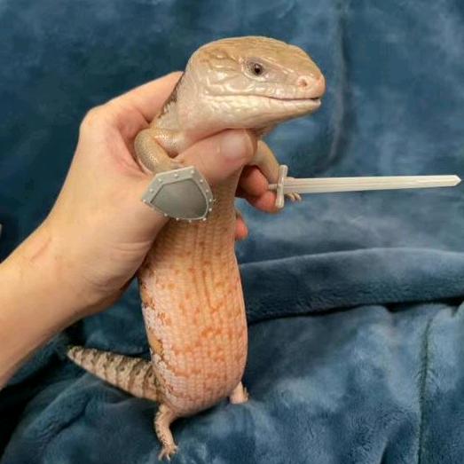老蛇皮战士