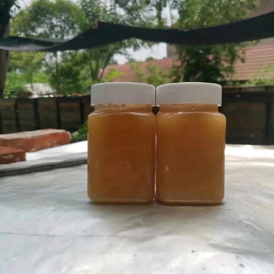 宝建出鞘蜂蜜