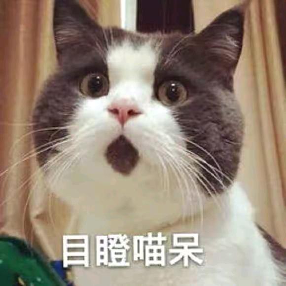小奶酪