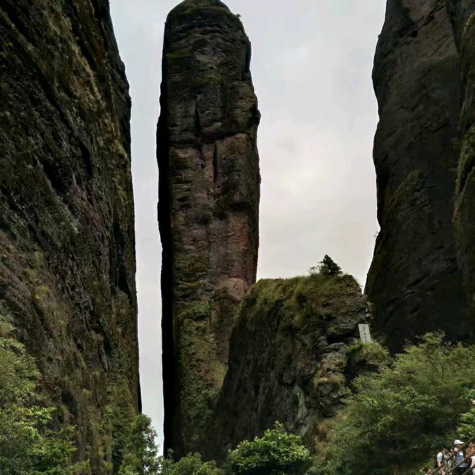 贵州遵义务/川唐