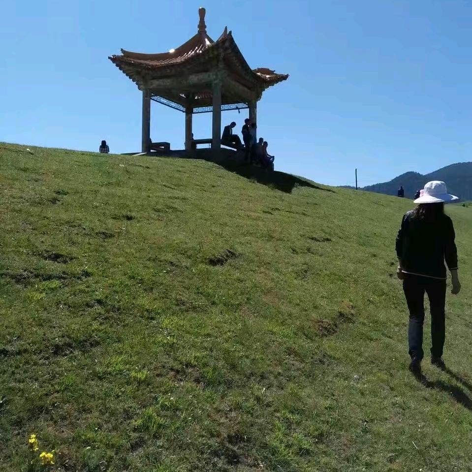 凤凰娴