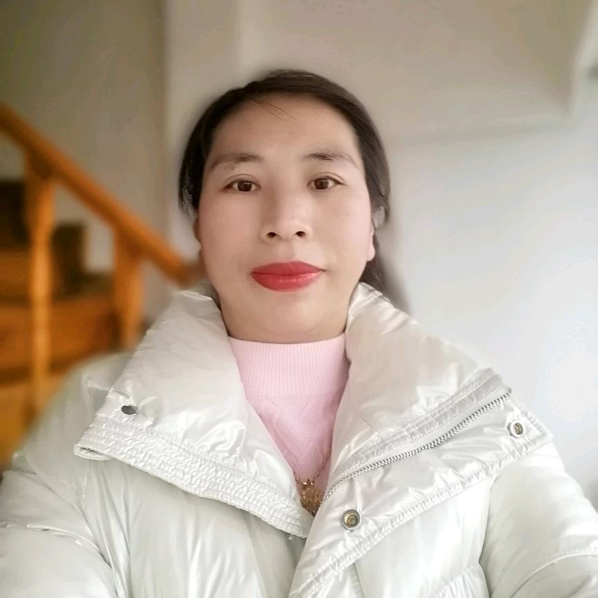 石定琼