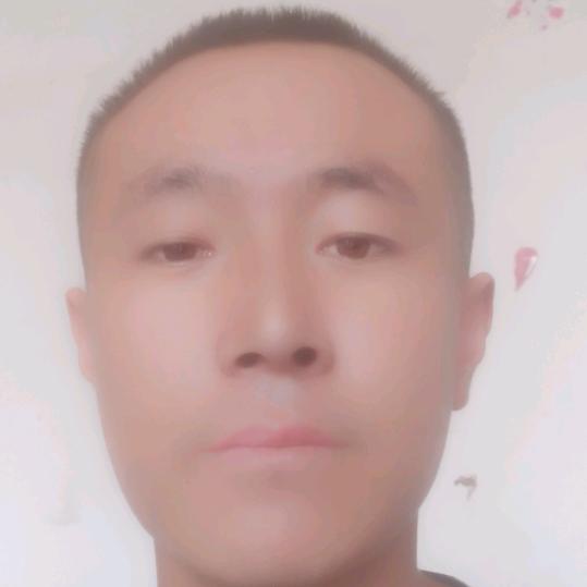 223781582