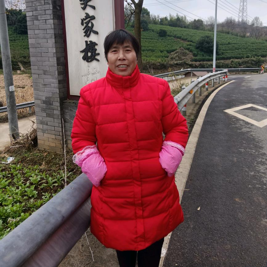 陈大姐