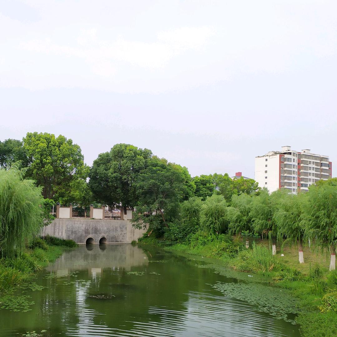 回收废旧家电