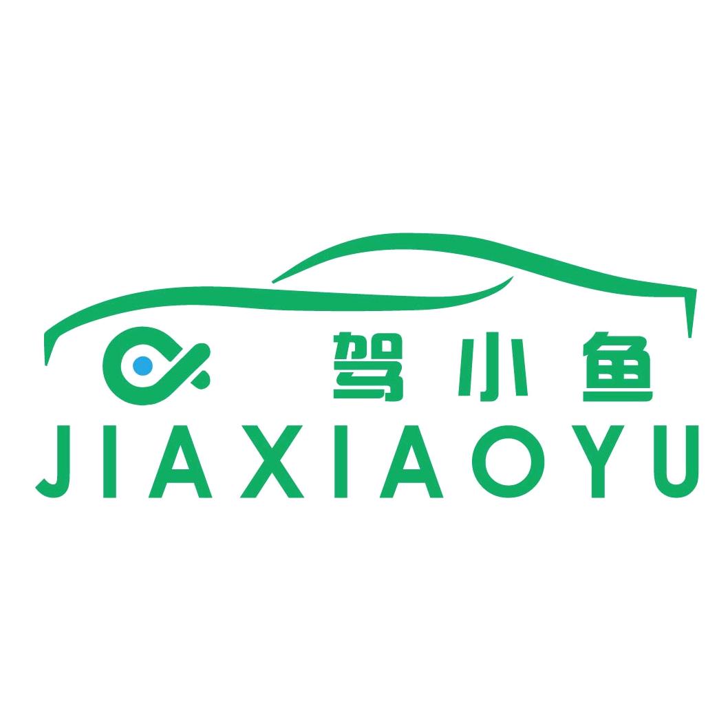 大托科目三-驾小鱼恒哥
