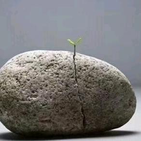 七台河鞋衣升洗鞋 玲姐