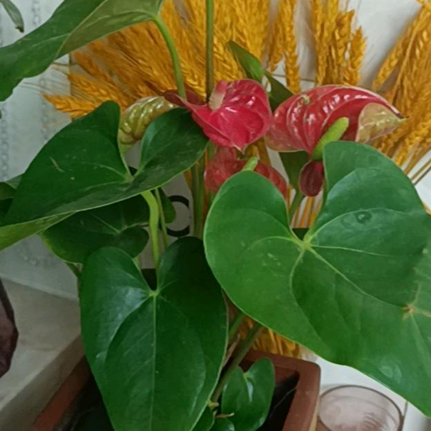 祝福