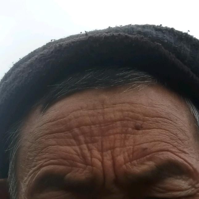2%