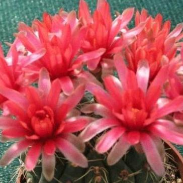 🌈 🌈喜越来越好🌈🌈