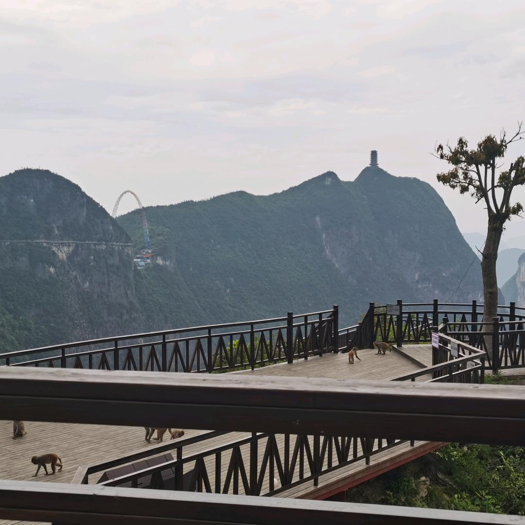 好名字都被🐶用了201966