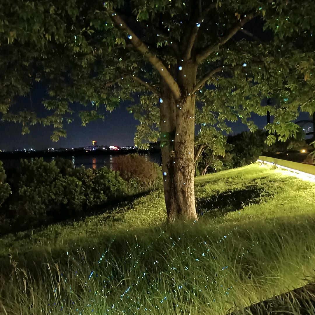 记哥