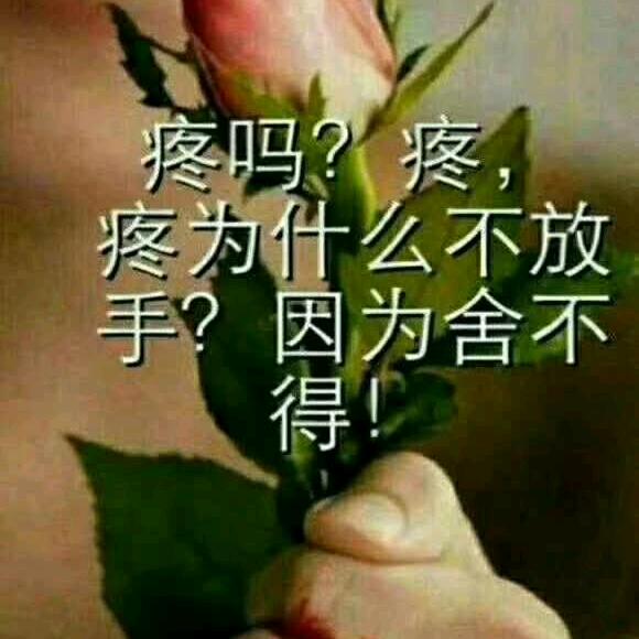 温柔男人霸气范