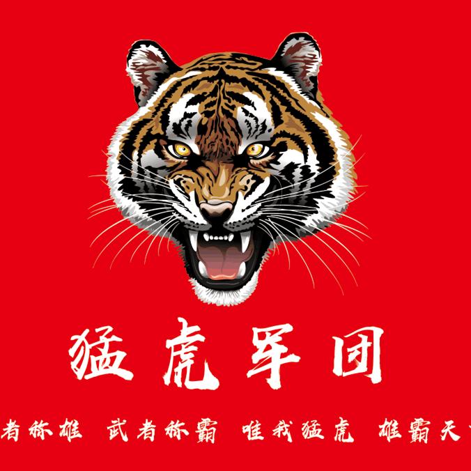 抖音网站建设优化-爱采购