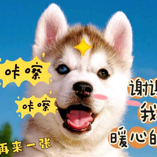 小水的动物世界