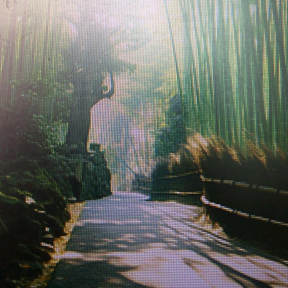 🍀岁月静好