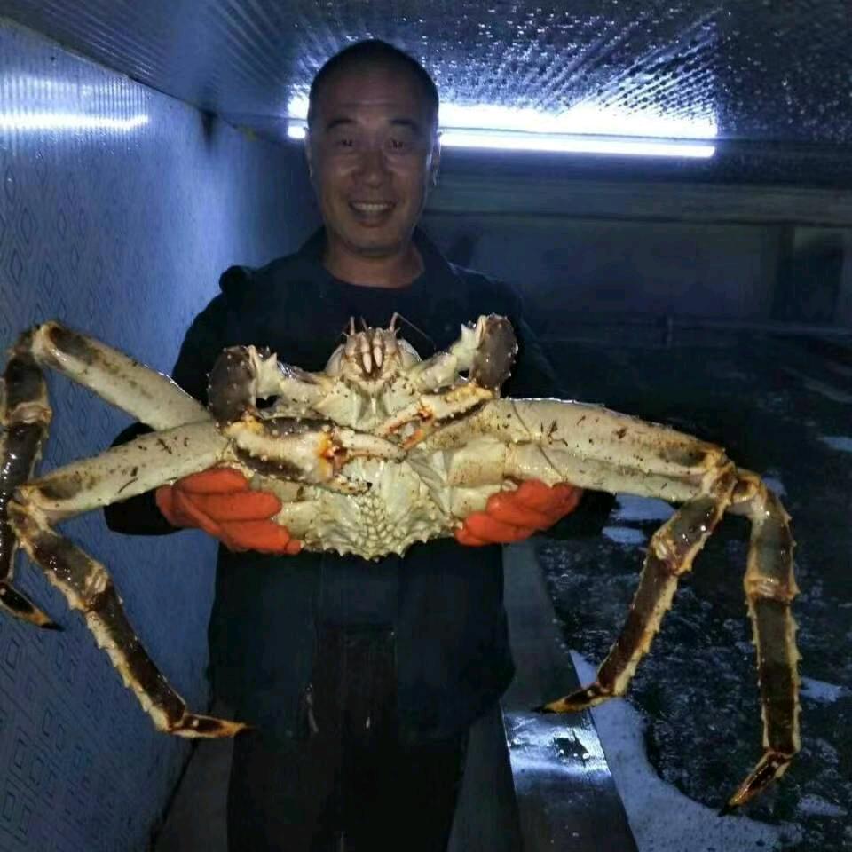 王之慧