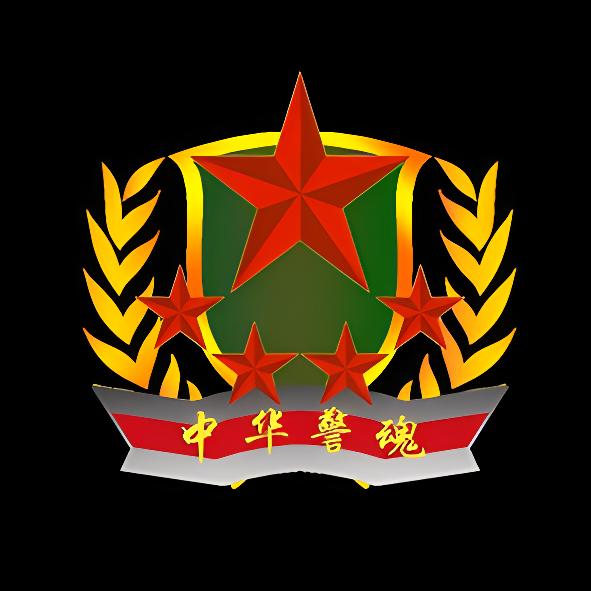 送你一颗小弹壳